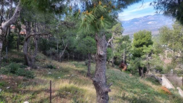 (For Sale) Land Plot || Athens North/Ekali - 1.020 Sq.m, 980.000€ 