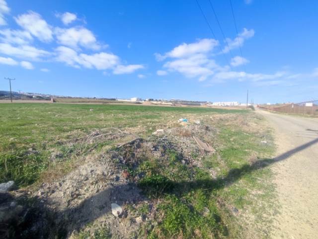(For Sale) Land Agricultural Land  || Cyclades/Santorini-Thira - 14.212 Sq.m, 300.000€ 