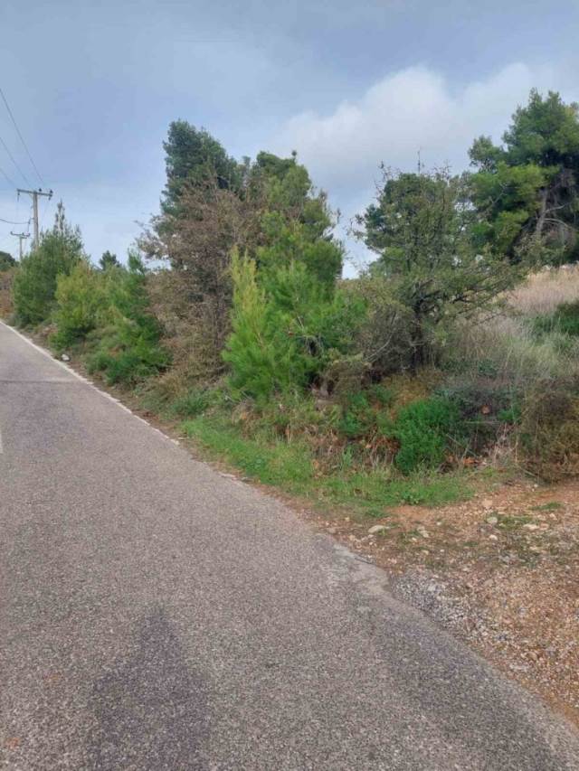 (Προς Πώληση) Αξιοποιήσιμη Γη Έκταση || Ανατολική Αττική/Καπανδρίτι - 5.000 τ.μ, 140.000€ 
