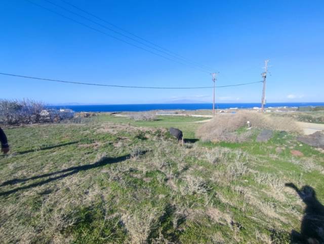 (For Sale) Land Agricultural Land  || Cyclades/Santorini-Oia - 5.000 Sq.m, 500.000€ 