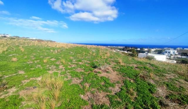 (For Sale) Land Plot for development || Cyclades/Santorini-Thira - 6.300 Sq.m, 800.000€ 
