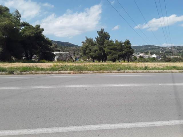 (For Sale) Land Plot || East Attica/Kapandriti - 6.000 Sq.m, 740.000€ 