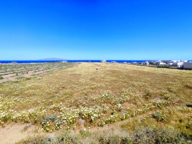 (For Sale) Land Agricultural Land  || Cyclades/Santorini-Oia - 3.285 Sq.m, 90.000€ 