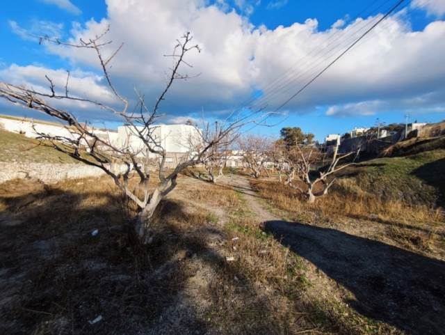 (Προς Πώληση) Αξιοποιήσιμη Γη Οικόπεδο εντός σχεδίου || Κυκλάδες/Σαντορίνη-Θήρα - 745 τ.μ, 250.000€ 