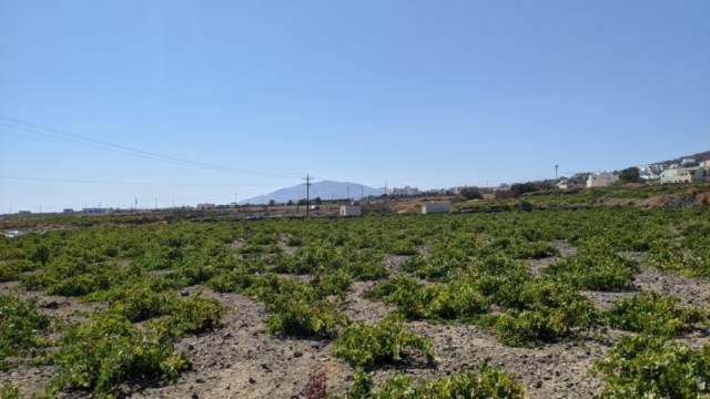 (Προς Πώληση) Αξιοποιήσιμη Γη Κτήμα || Κυκλάδες/Σαντορίνη-Θήρα - 5.261 τ.μ, 135.000€ 