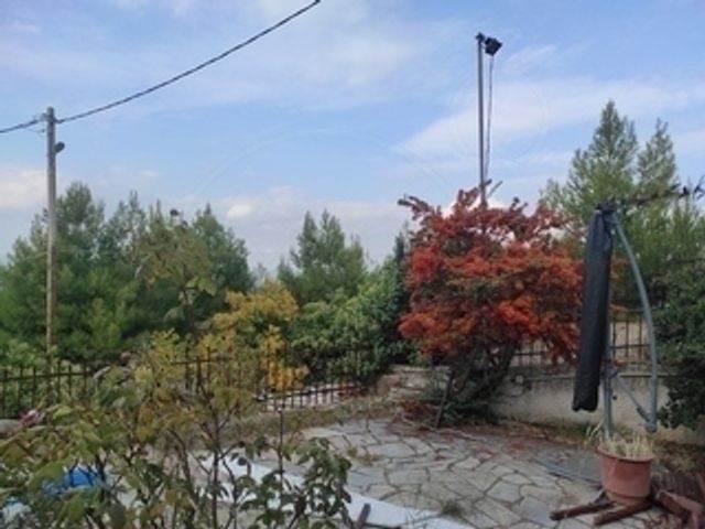 (Προς Πώληση) Κατοικία Διαμέρισμα || Ανατολική Αττική/Διόνυσος - 65 τ.μ, 1 Υ/Δ, 162.000€ 