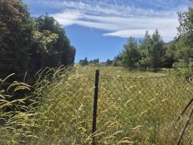 (For Sale) Land Plot for development || East Attica/Agios Stefanos - 700 Sq.m, 300.000€ 