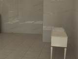 slide1 thumbnail
