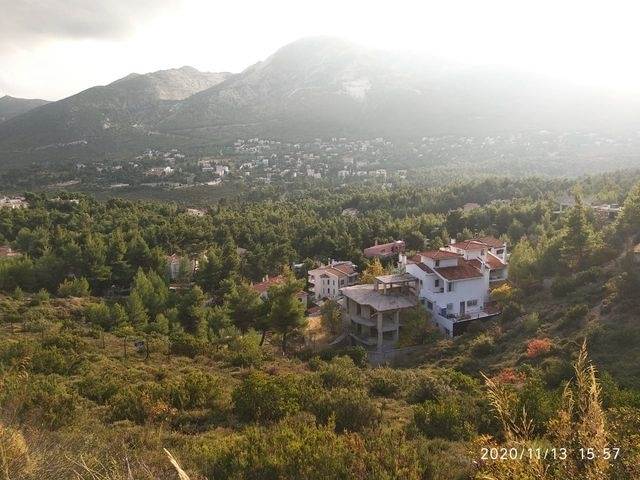 (Προς Πώληση) Αξιοποιήσιμη Γη Οικόπεδο εντός σχεδίου || Ανατολική Αττική/Διόνυσος - 800 τ.μ, 190.000€ 