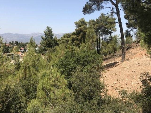 (Προς Πώληση) Αξιοποιήσιμη Γη Οικόπεδο || Ανατολική Αττική/Διόνυσος - 810 τ.μ, 290.000€ 