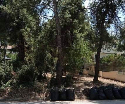 (Προς Πώληση) Αξιοποιήσιμη Γη Οικόπεδο || Ανατολική Αττική/Διόνυσος - 800 τ.μ, 300.000€ 